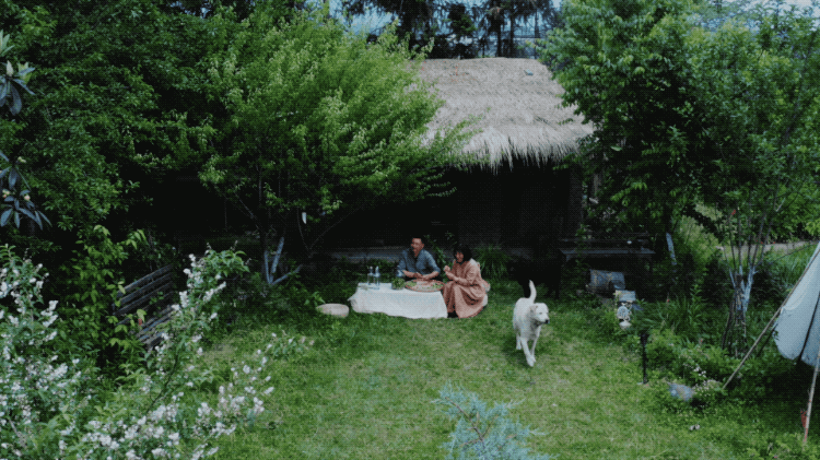 图片[1]-一对夫妇中年辞职，拿下1200㎡荒地归隐，如今第11年了-寻找资源网