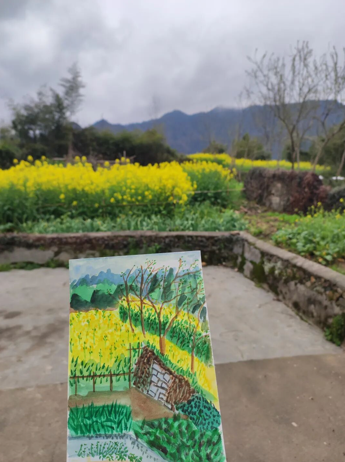 图片[2]-一对夫妇中年辞职，拿下1200㎡荒地归隐，如今第11年了-寻找资源网