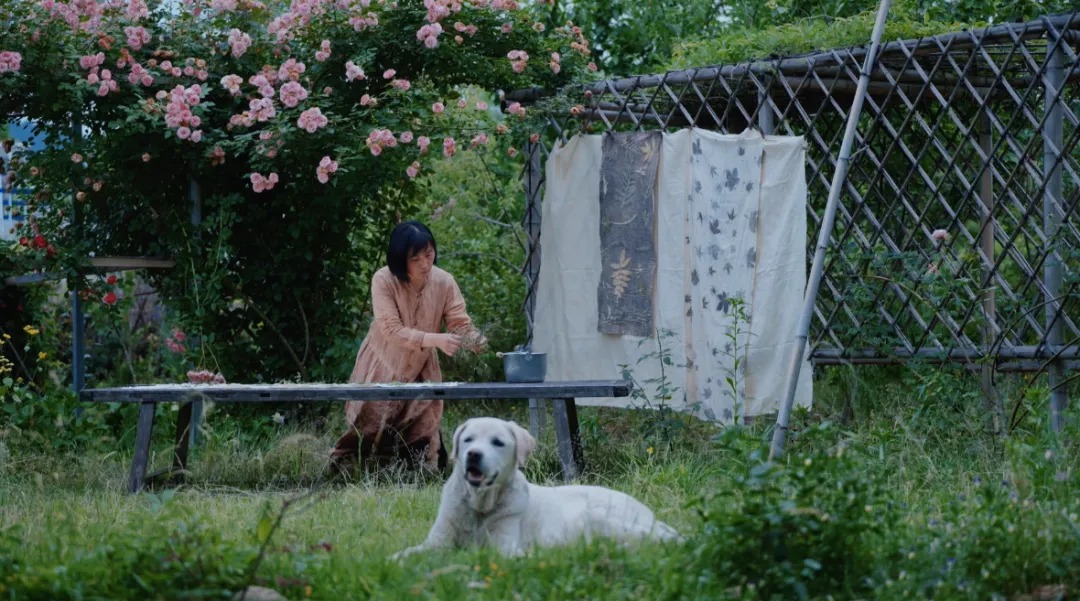 图片[3]-一对夫妇中年辞职，拿下1200㎡荒地归隐，如今第11年了-寻找资源网