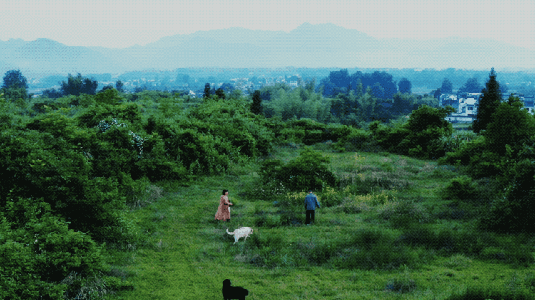 图片[5]-一对夫妇中年辞职，拿下1200㎡荒地归隐，如今第11年了-寻找资源网