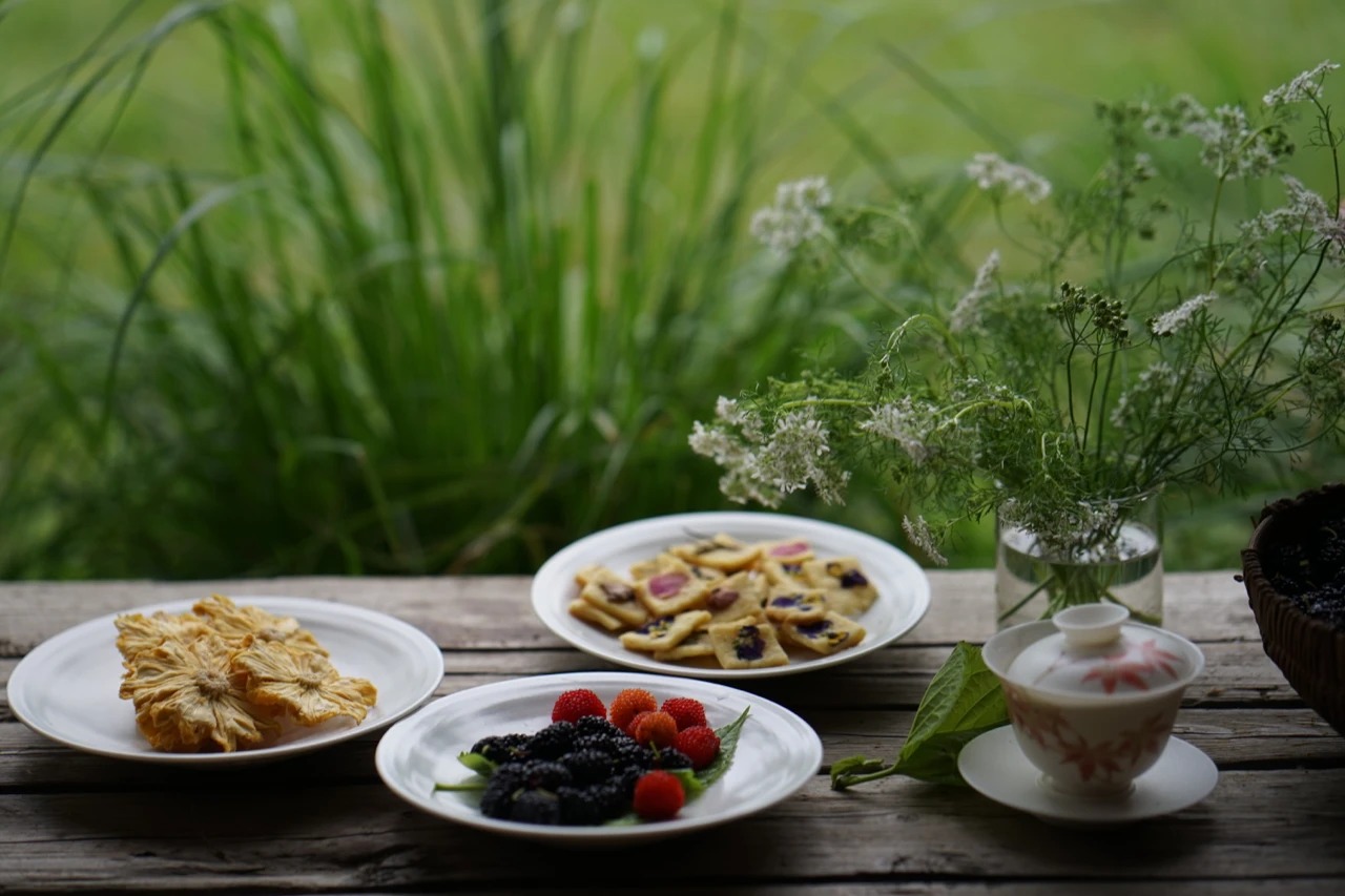 图片[7]-一对夫妇中年辞职，拿下1200㎡荒地归隐，如今第11年了-寻找资源网