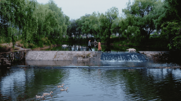 图片[10]-一对夫妇中年辞职，拿下1200㎡荒地归隐，如今第11年了-寻找资源网