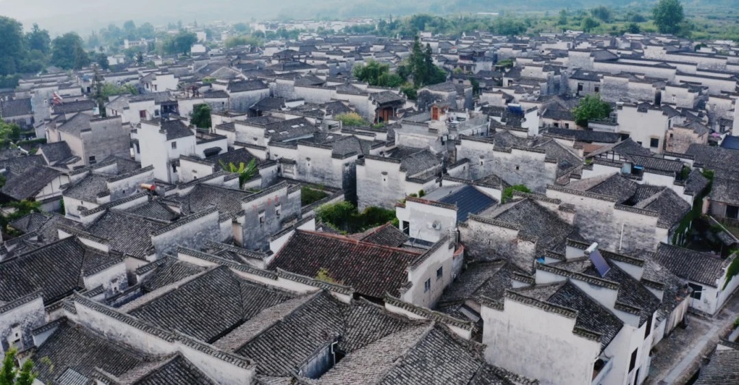 图片[11]-一对夫妇中年辞职，拿下1200㎡荒地归隐，如今第11年了-寻找资源网