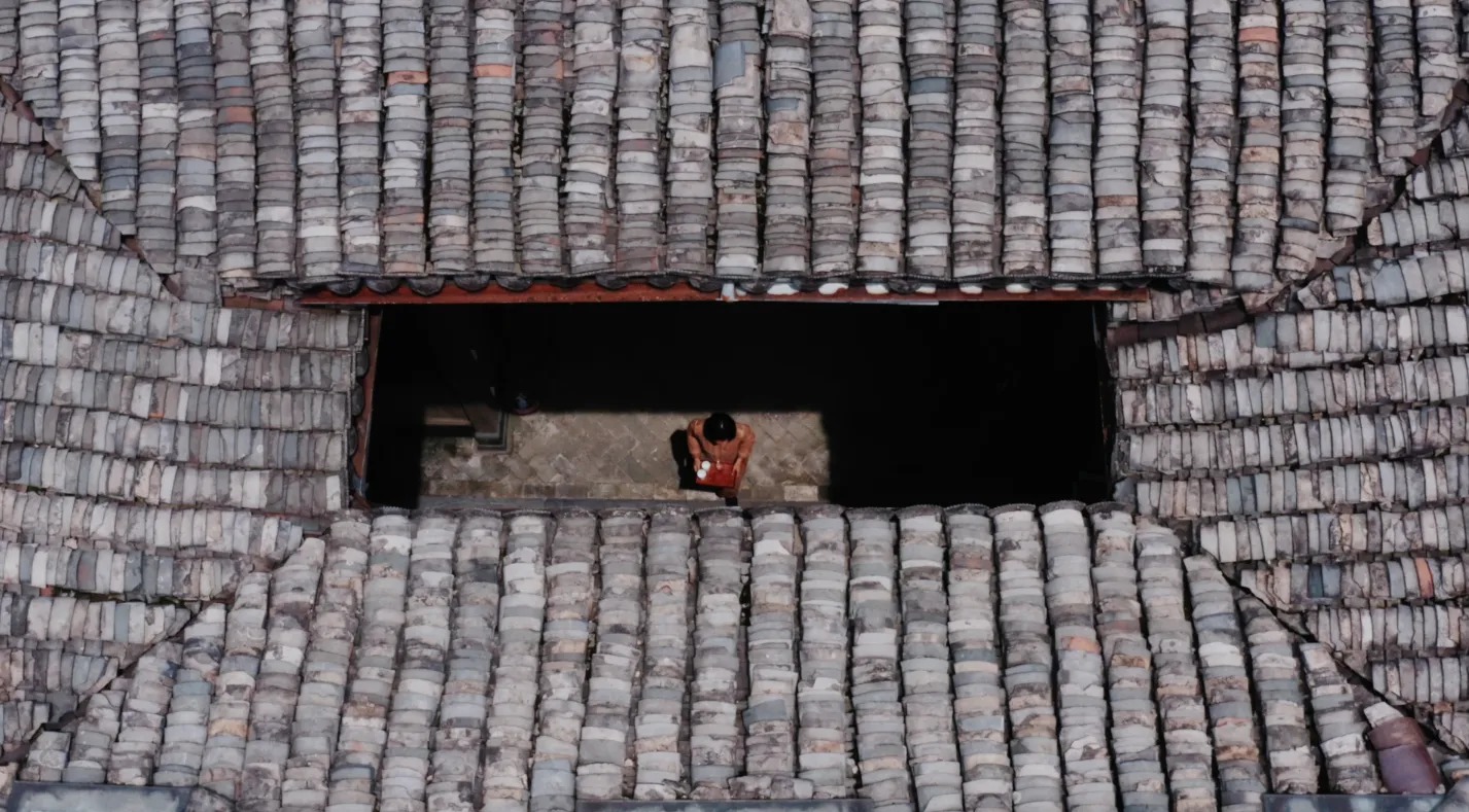 图片[12]-一对夫妇中年辞职，拿下1200㎡荒地归隐，如今第11年了-寻找资源网