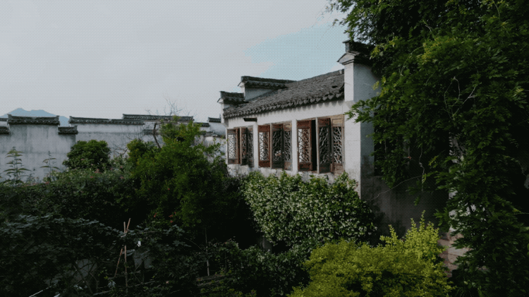 图片[13]-一对夫妇中年辞职，拿下1200㎡荒地归隐，如今第11年了-寻找资源网