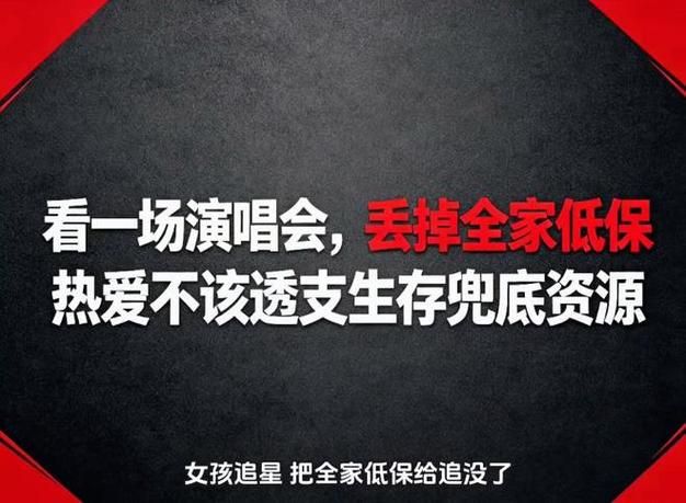 “我只是想看演唱会”：低保少女最无辜的一句话，戳破了“中国式巨婴”最后的体面-寻找资源网