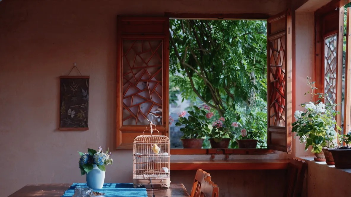 图片[15]-一对夫妇中年辞职，拿下1200㎡荒地归隐，如今第11年了-寻找资源网