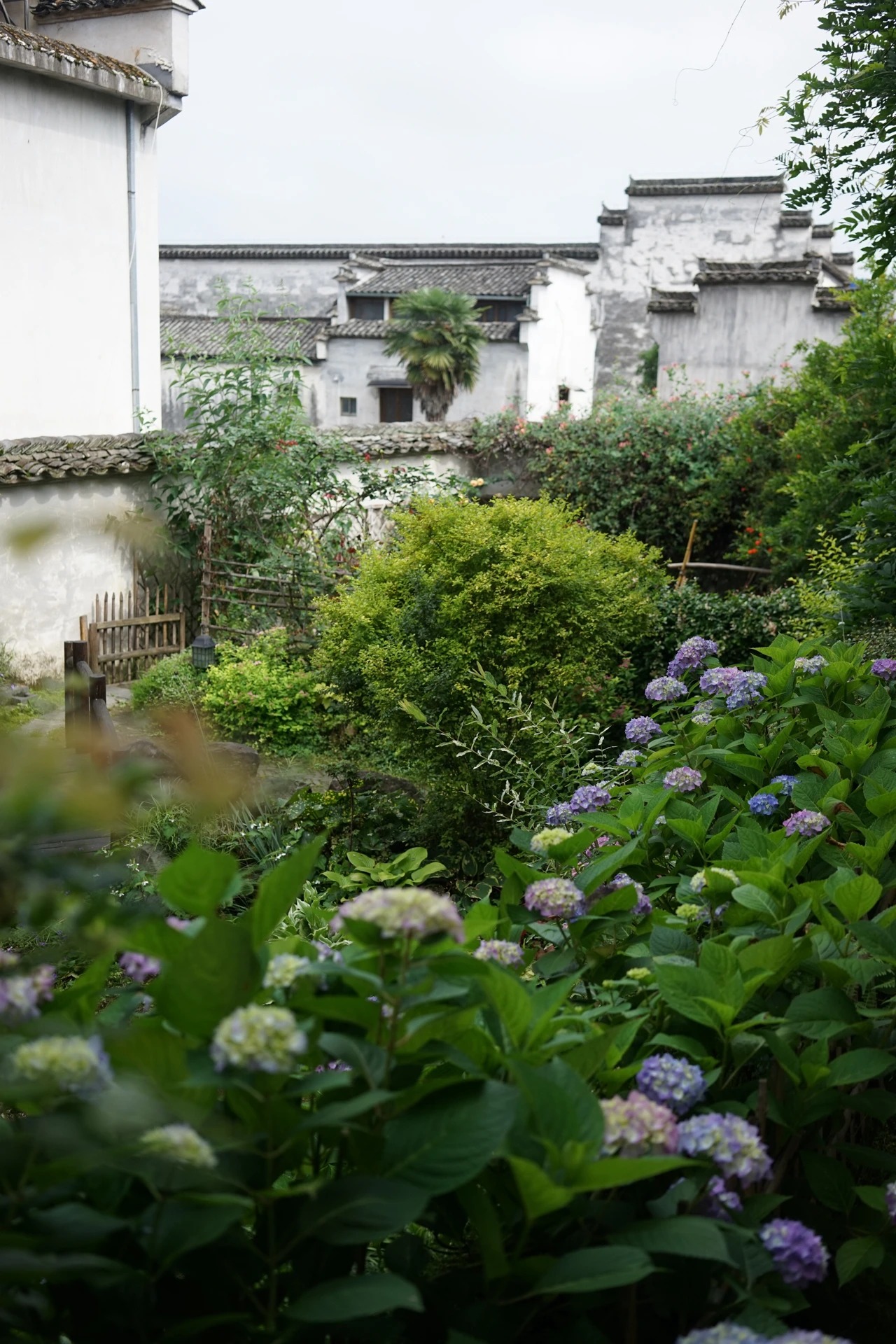 图片[16]-一对夫妇中年辞职，拿下1200㎡荒地归隐，如今第11年了-寻找资源网