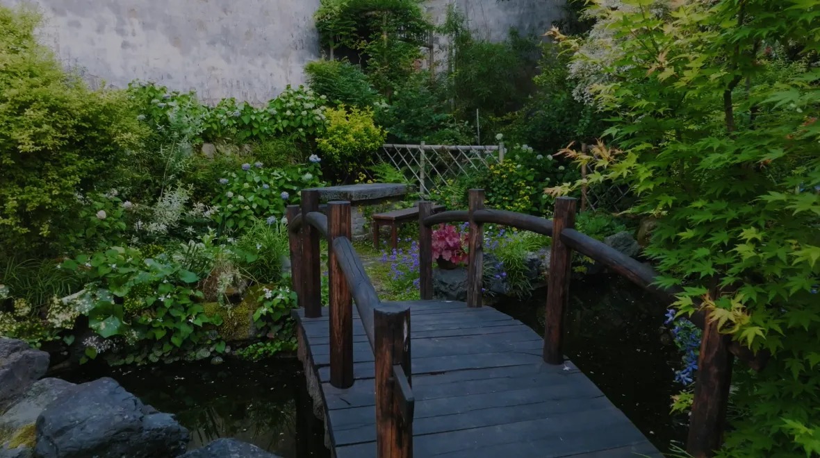 图片[17]-一对夫妇中年辞职，拿下1200㎡荒地归隐，如今第11年了-寻找资源网