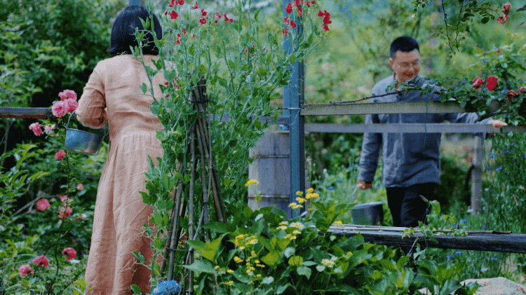 图片[19]-一对夫妇中年辞职，拿下1200㎡荒地归隐，如今第11年了-寻找资源网