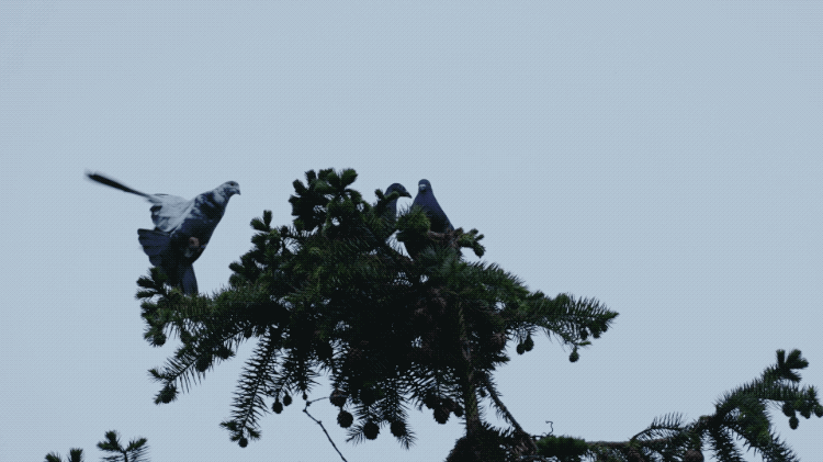 图片[20]-一对夫妇中年辞职，拿下1200㎡荒地归隐，如今第11年了-寻找资源网