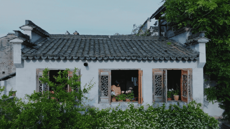 图片[21]-一对夫妇中年辞职，拿下1200㎡荒地归隐，如今第11年了-寻找资源网