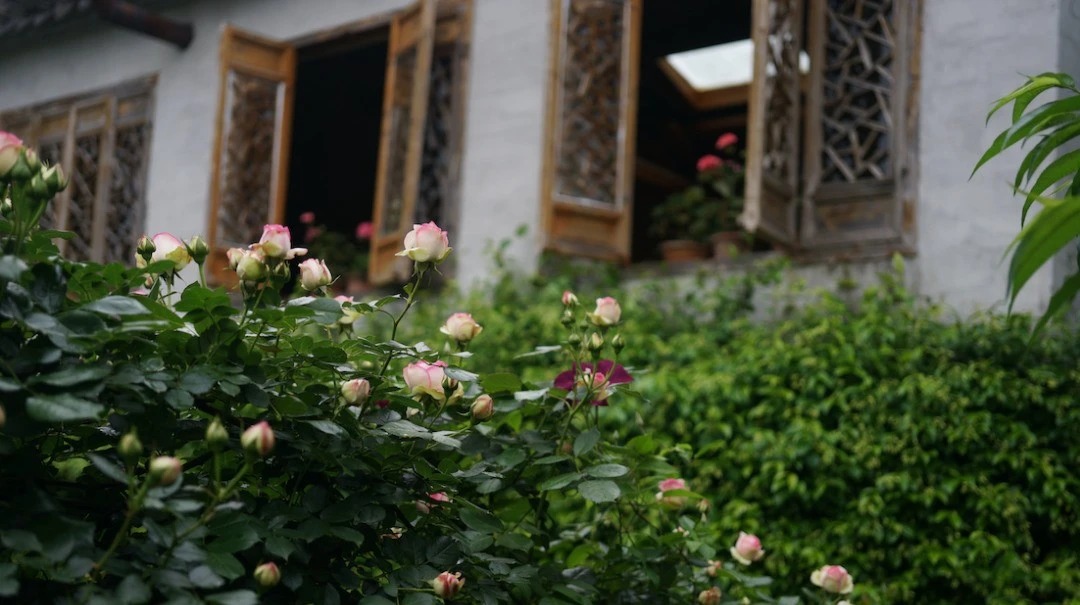 图片[22]-一对夫妇中年辞职，拿下1200㎡荒地归隐，如今第11年了-寻找资源网