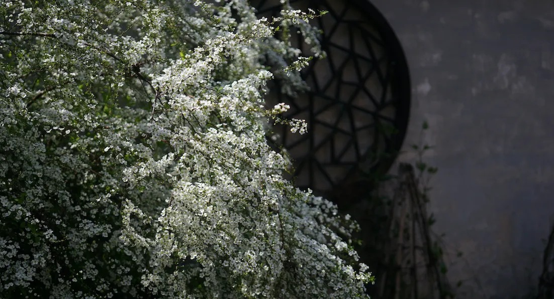 图片[23]-一对夫妇中年辞职，拿下1200㎡荒地归隐，如今第11年了-寻找资源网