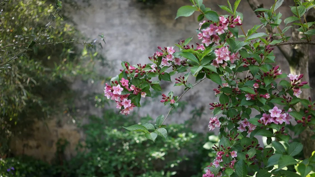 图片[24]-一对夫妇中年辞职，拿下1200㎡荒地归隐，如今第11年了-寻找资源网