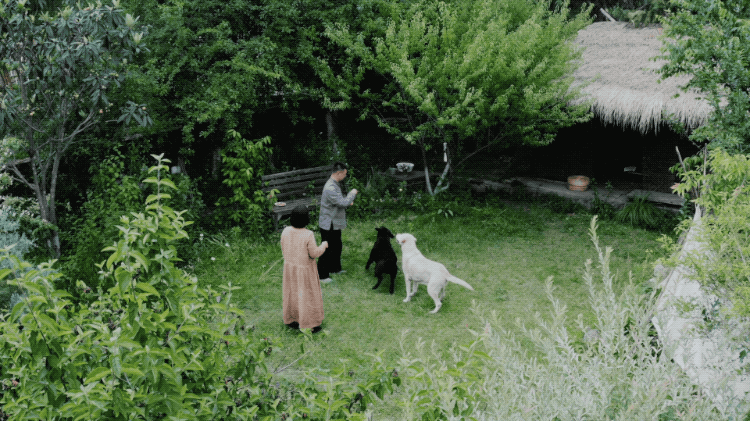 图片[25]-一对夫妇中年辞职，拿下1200㎡荒地归隐，如今第11年了-寻找资源网