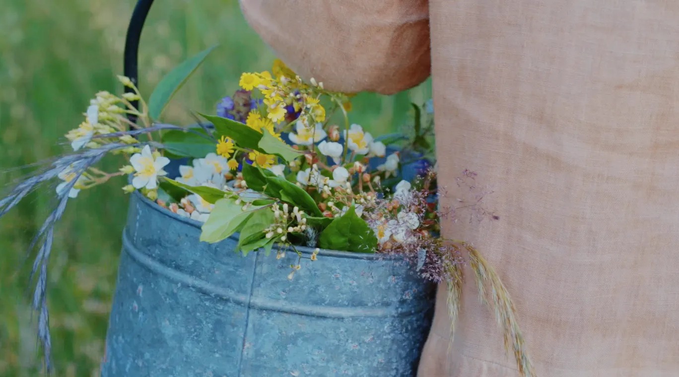 图片[32]-一对夫妇中年辞职，拿下1200㎡荒地归隐，如今第11年了-寻找资源网