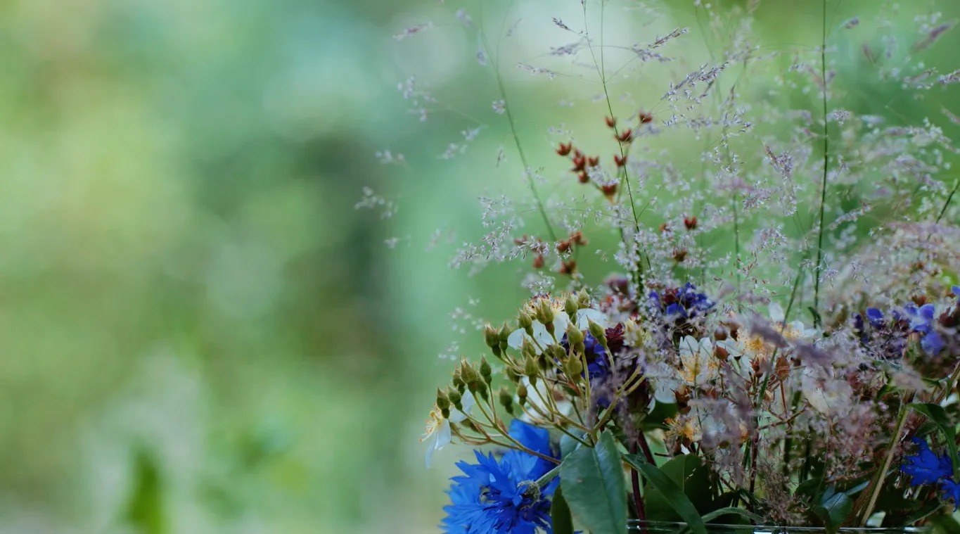 图片[33]-一对夫妇中年辞职，拿下1200㎡荒地归隐，如今第11年了-寻找资源网