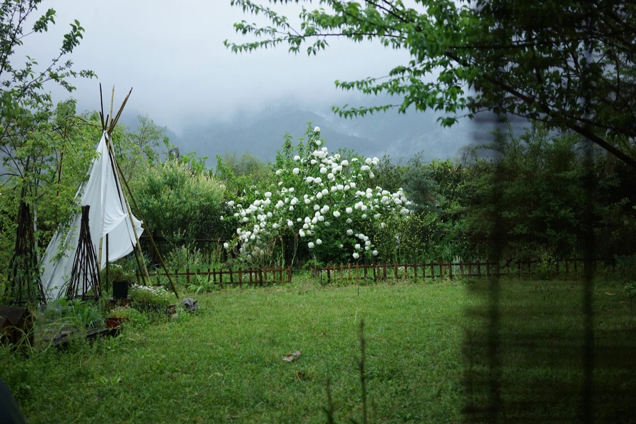 图片[35]-一对夫妇中年辞职，拿下1200㎡荒地归隐，如今第11年了-寻找资源网