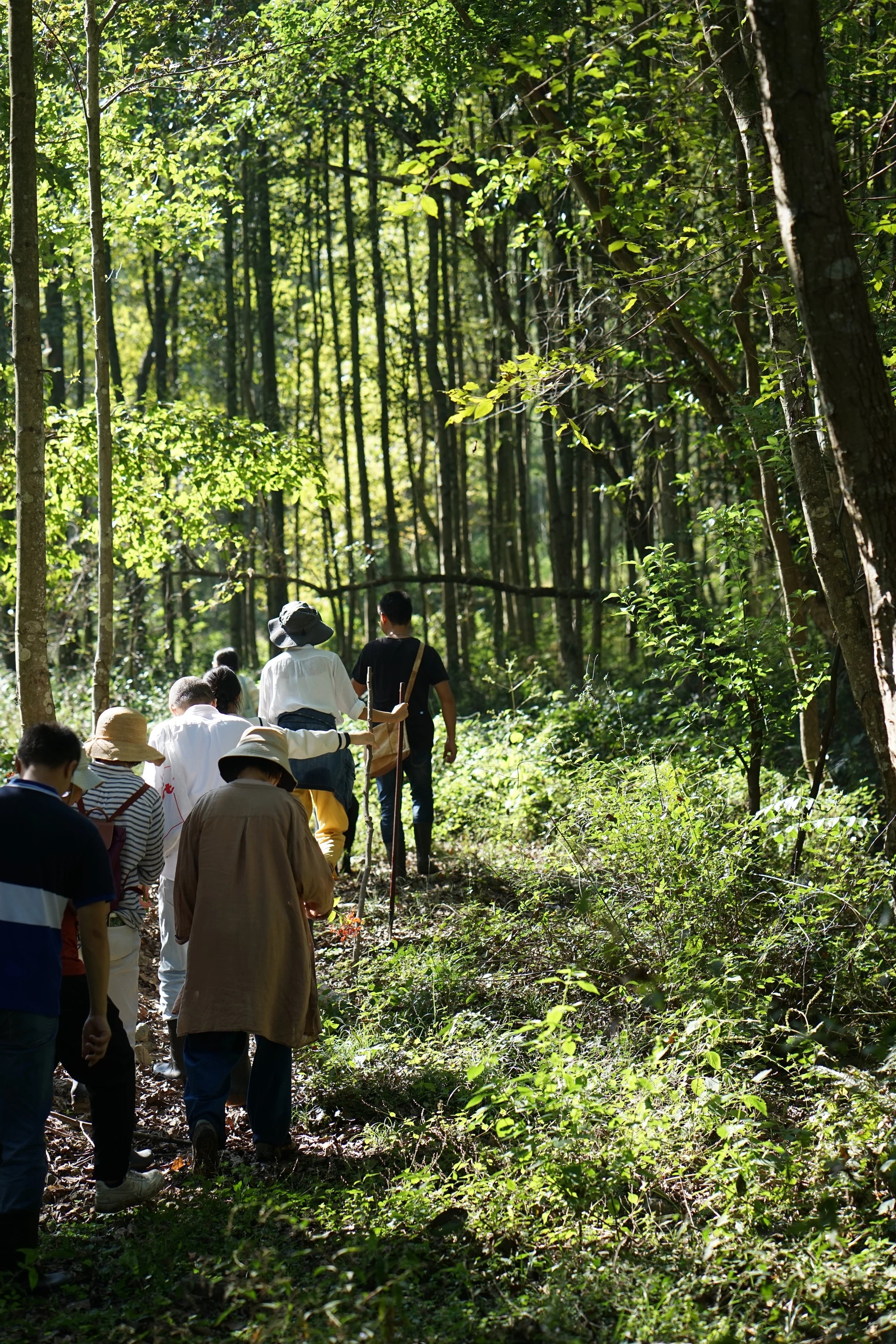 图片[37]-一对夫妇中年辞职，拿下1200㎡荒地归隐，如今第11年了-寻找资源网