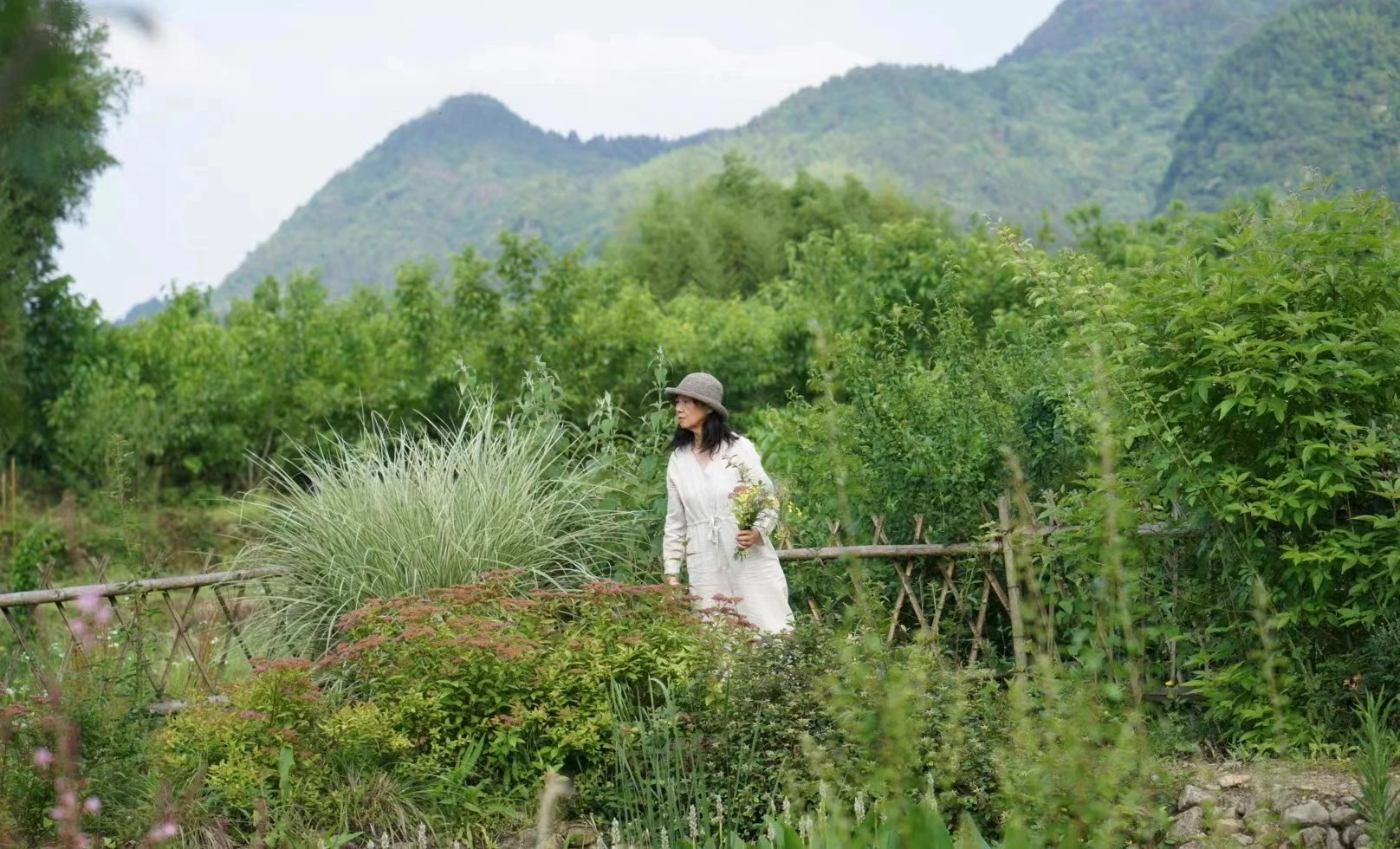 图片[38]-一对夫妇中年辞职，拿下1200㎡荒地归隐，如今第11年了-寻找资源网