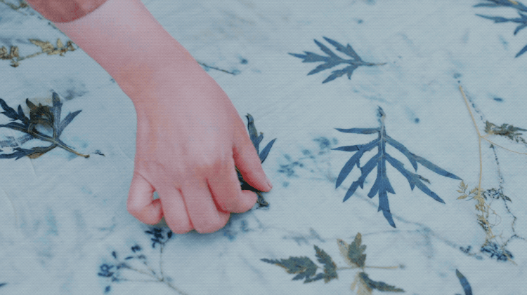 图片[42]-一对夫妇中年辞职，拿下1200㎡荒地归隐，如今第11年了-寻找资源网