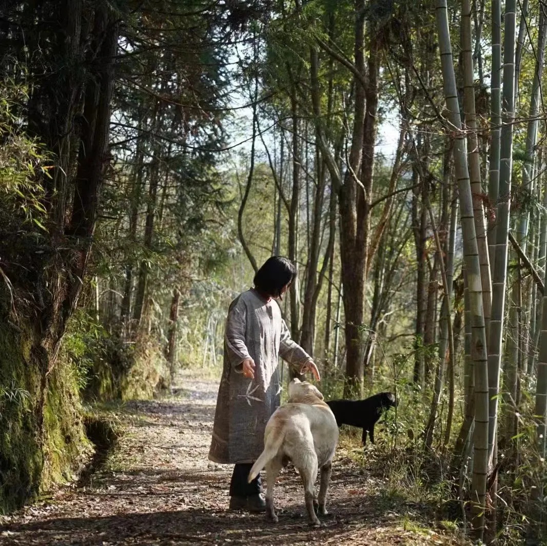 图片[46]-一对夫妇中年辞职，拿下1200㎡荒地归隐，如今第11年了-寻找资源网