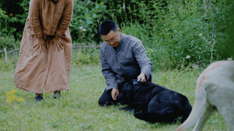 图片[47]-一对夫妇中年辞职，拿下1200㎡荒地归隐，如今第11年了-寻找资源网