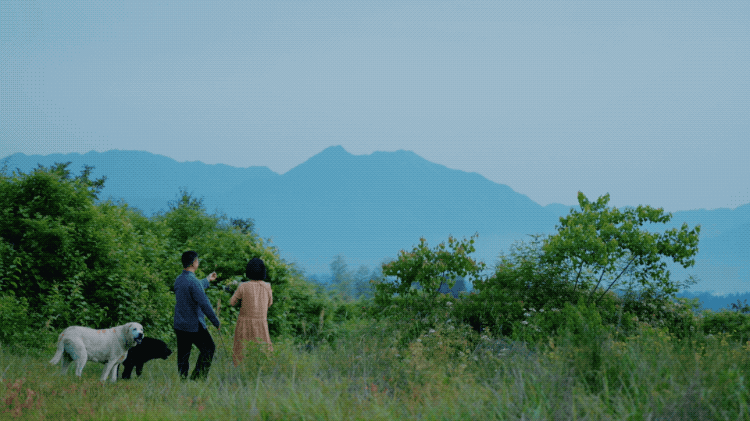 图片[48]-一对夫妇中年辞职，拿下1200㎡荒地归隐，如今第11年了-寻找资源网