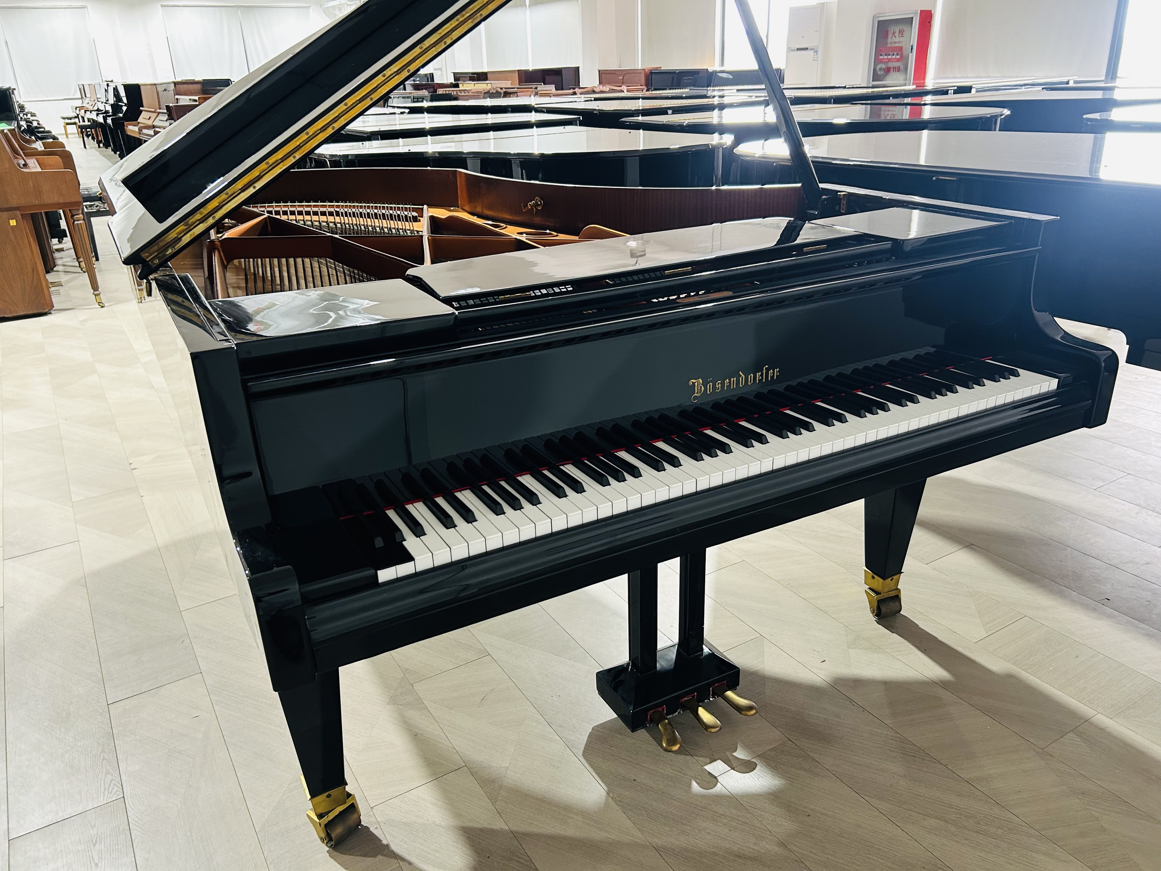 Bösendorfer贝森朵夫220维也纳国宝皇家御用演奏级实木钢琴-寻找资源网