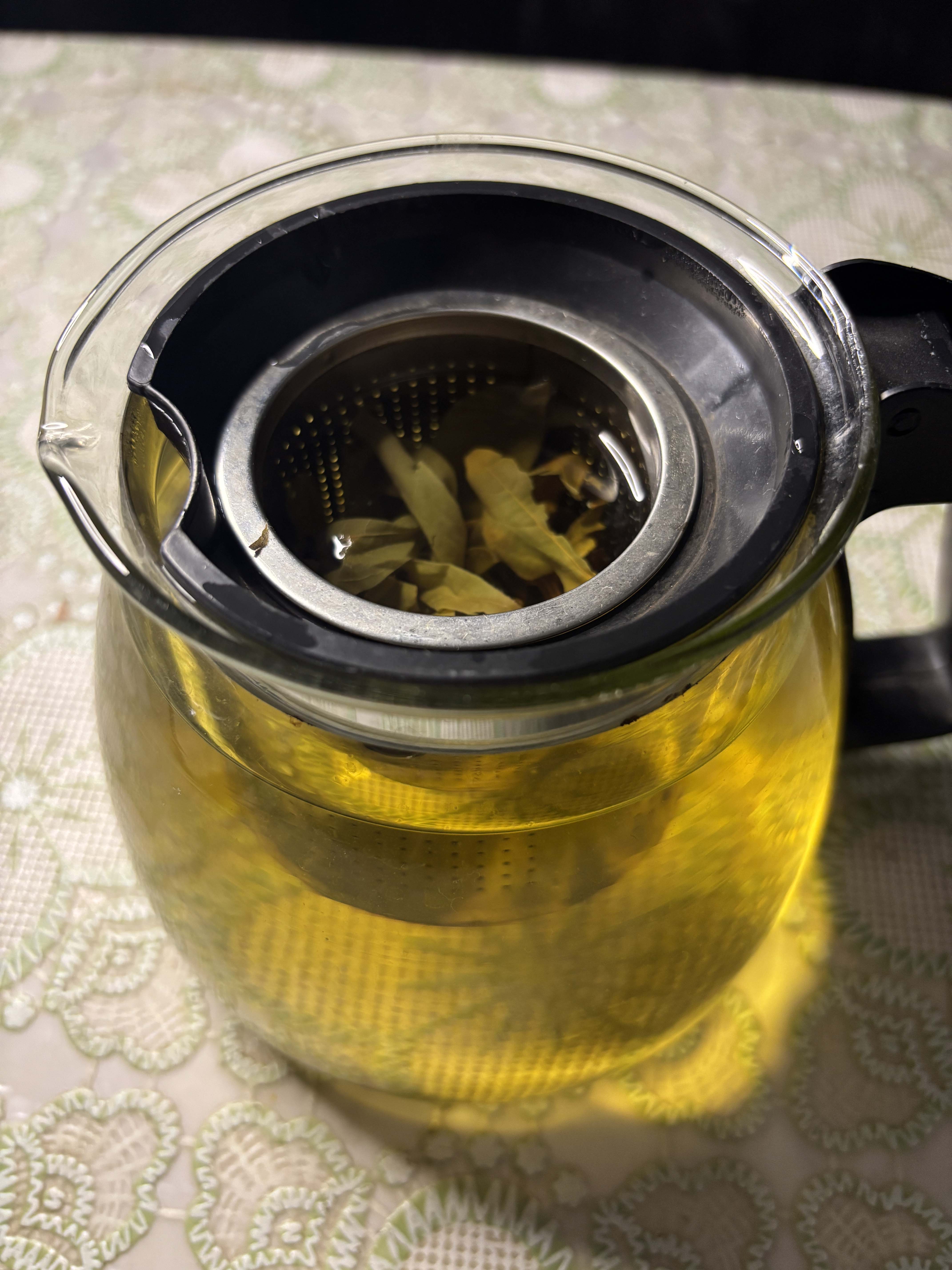 图片[1]-贵州老鹰茶tea高海拔低纬度国家自然保护区深山自然天成人工采摘天赐良品