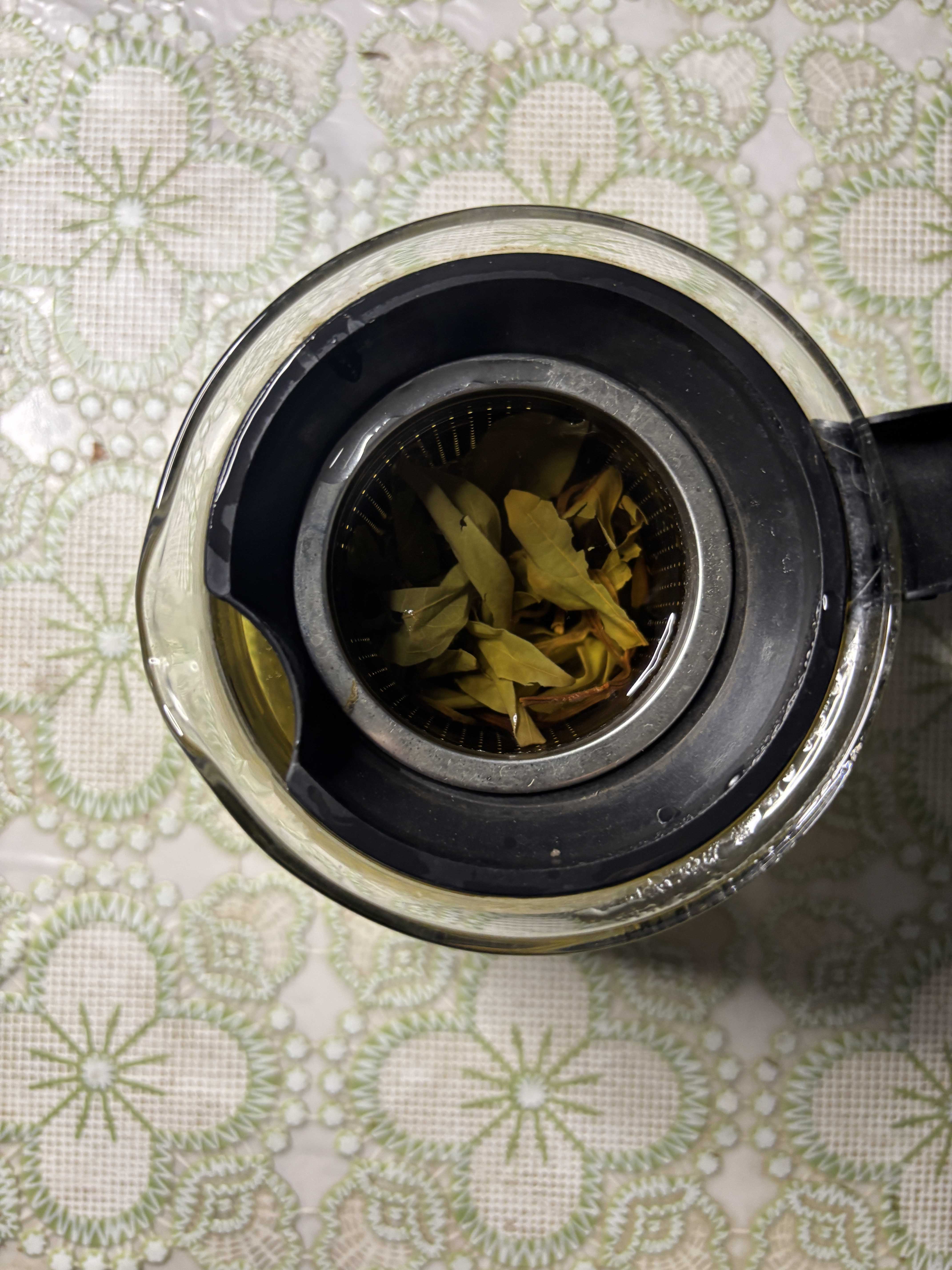 图片[2]-贵州老鹰茶tea高海拔低纬度国家自然保护区深山自然天成人工采摘天赐良品