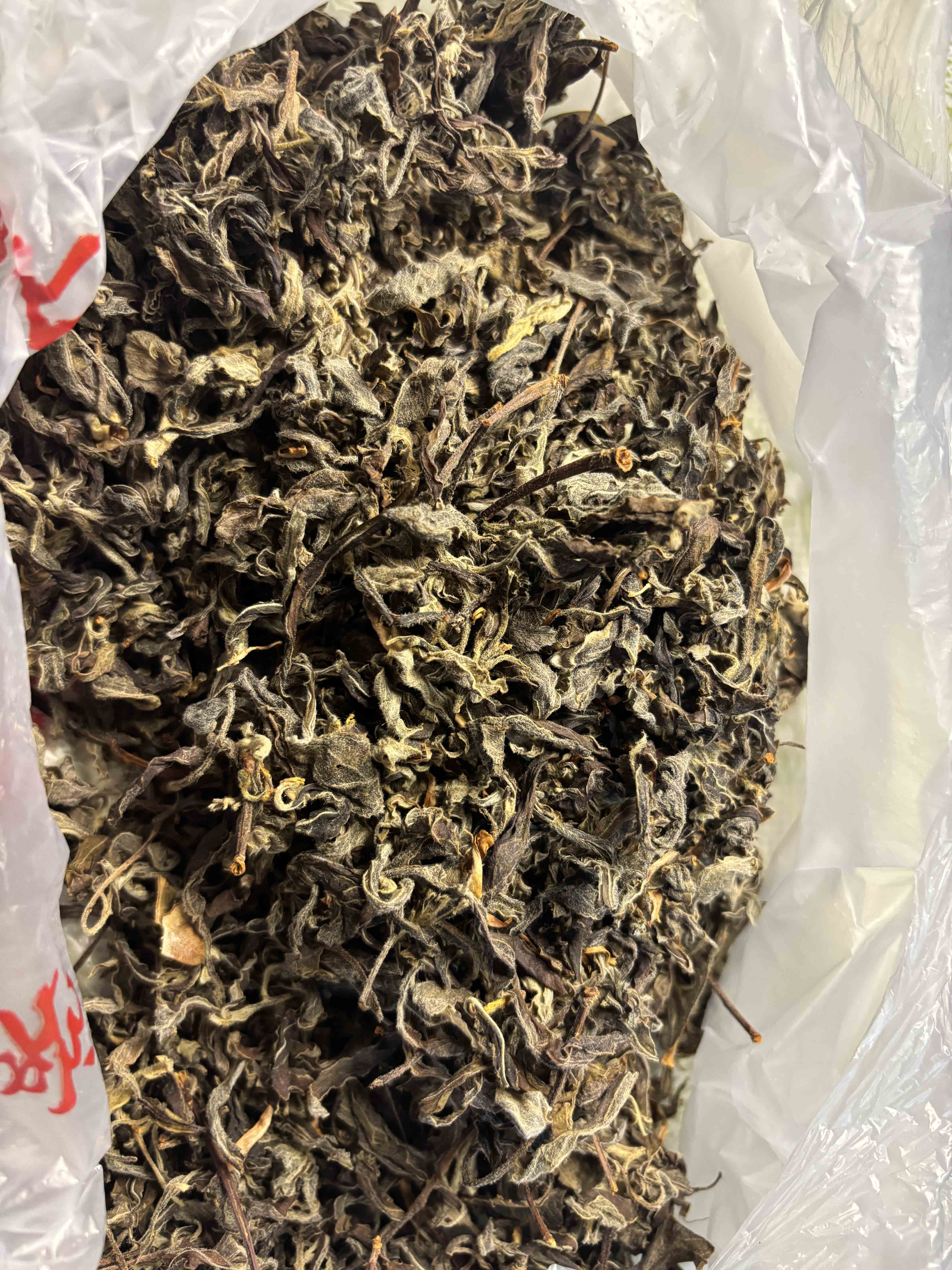图片[4]-贵州老鹰茶tea高海拔低纬度国家自然保护区深山自然天成人工采摘天赐良品