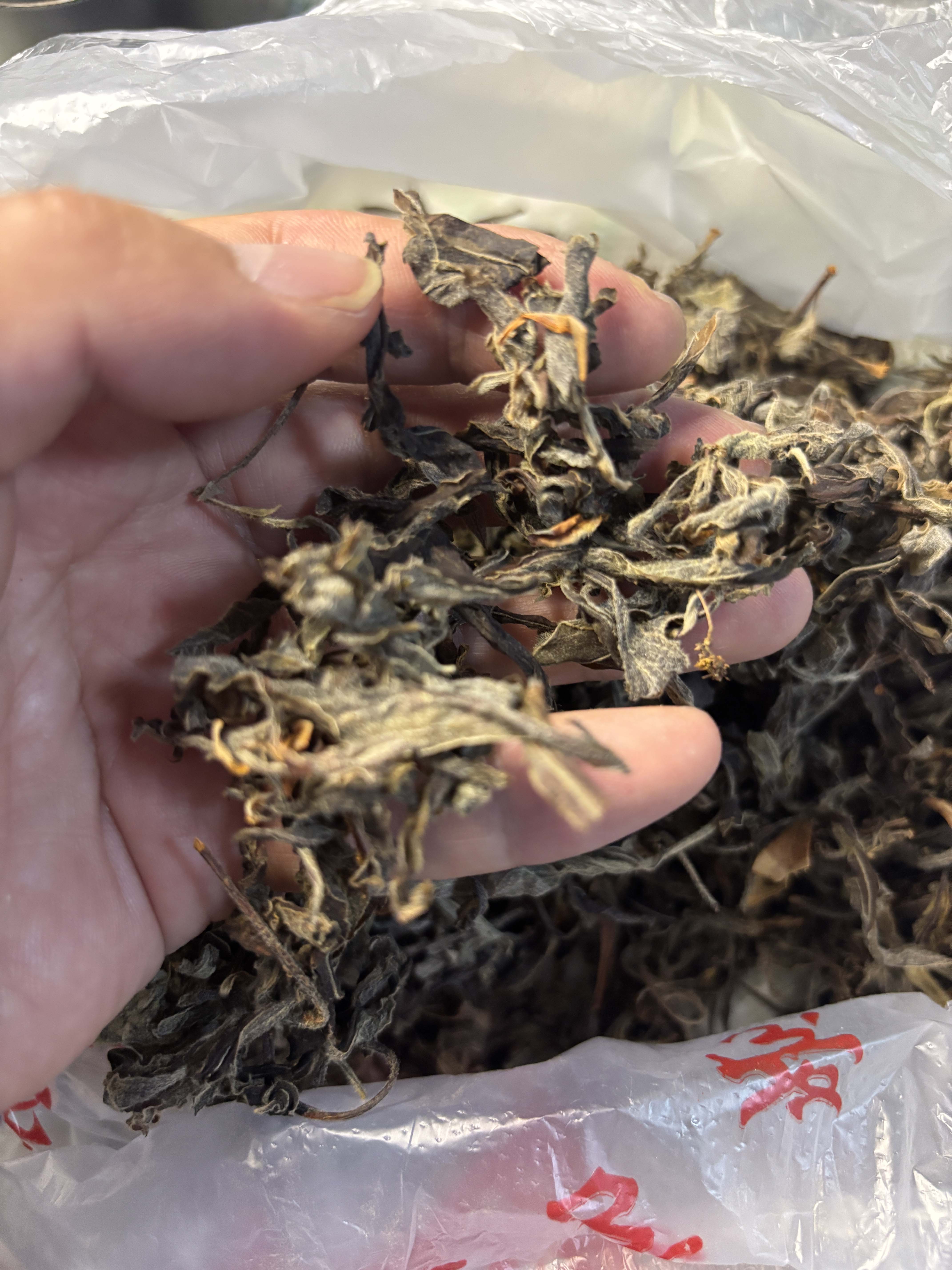 图片[5]-贵州老鹰茶tea高海拔低纬度国家自然保护区深山自然天成人工采摘天赐良品