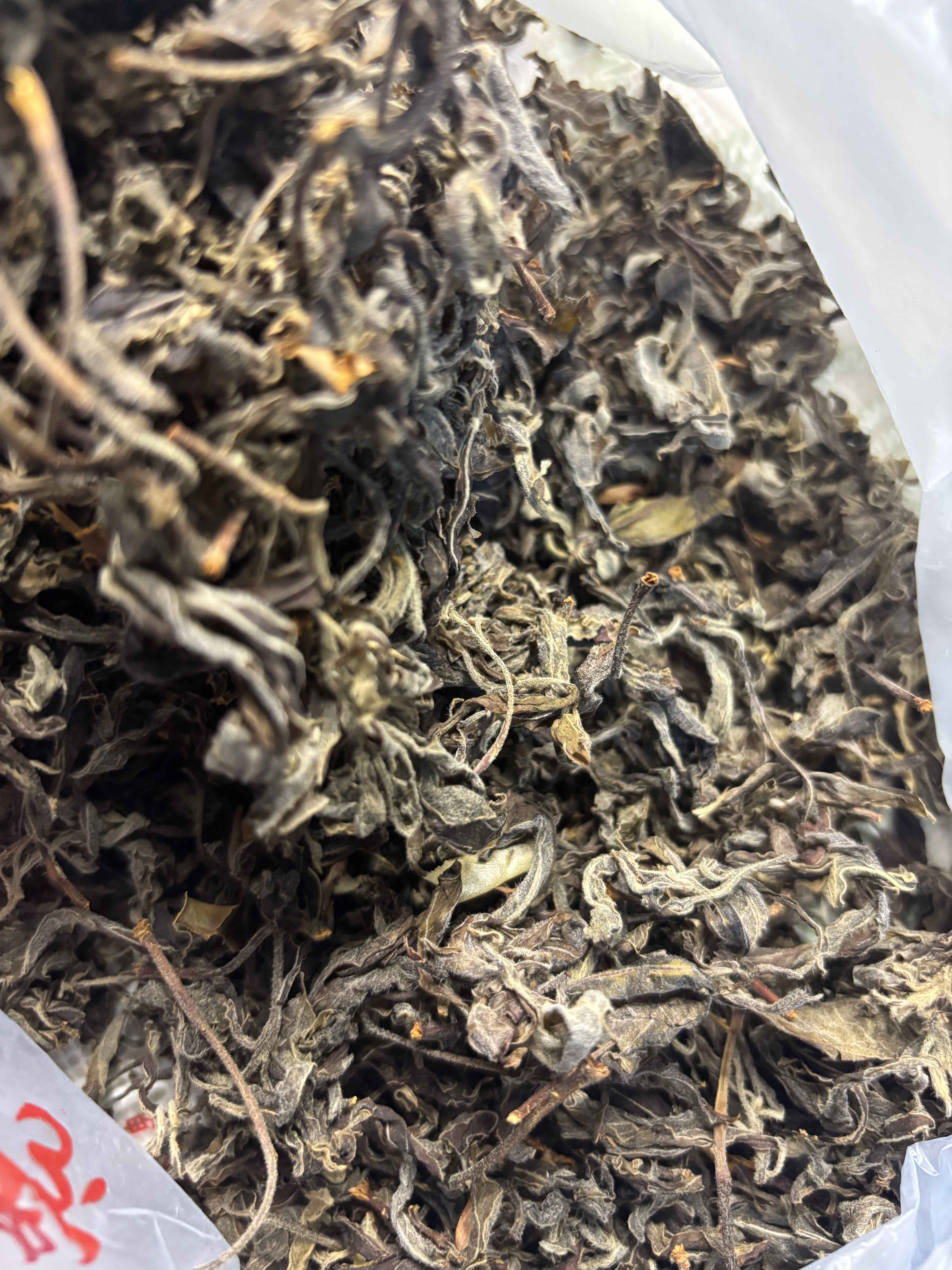 图片[6]-贵州老鹰茶tea高海拔低纬度国家自然保护区深山自然天成人工采摘天赐良品