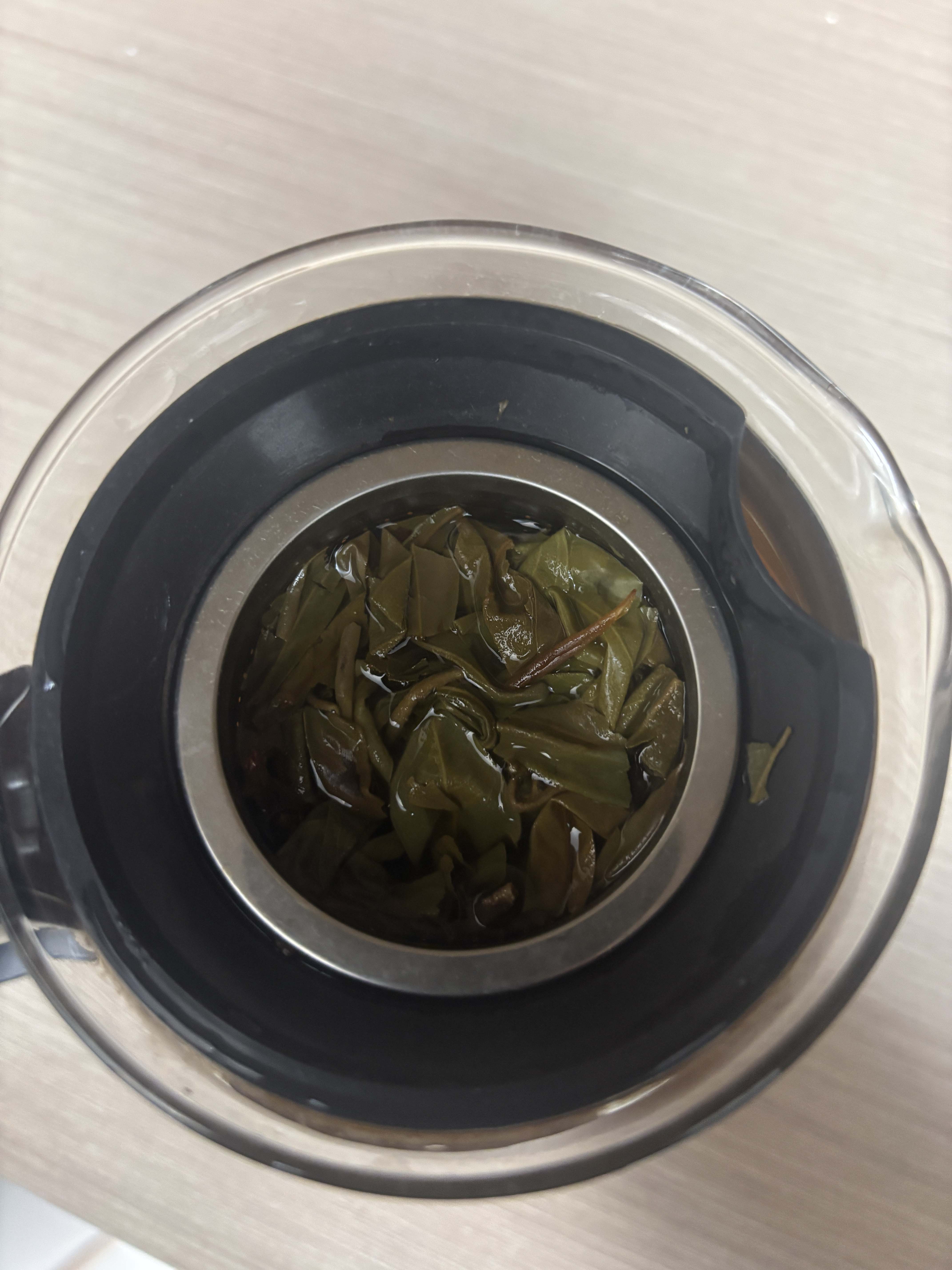 图片[9]-贵州老鹰茶tea高海拔低纬度国家自然保护区深山自然天成人工采摘天赐良品