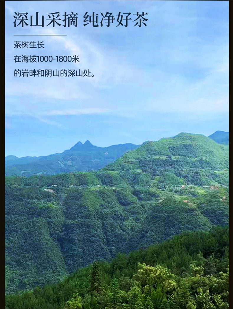 图片[12]-重庆贵州特产深山老鹰茶清凉解暑重庆火锅标配饮料老百姓的凉茶